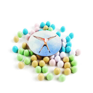 Фото коробки гри Крила